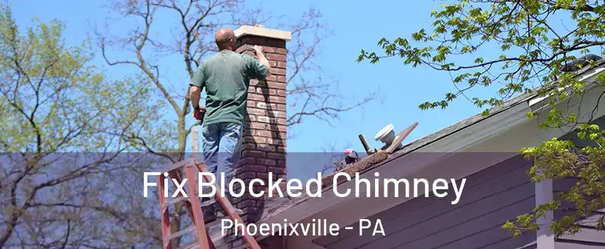  Fix Blocked Chimney Phoenixville - PA